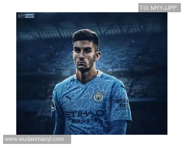 费兰托雷斯：从青训新星到世界足坛的璀璨明珠之路